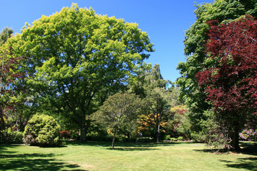 Beacon Hill Park, Victoria, BC, Canada