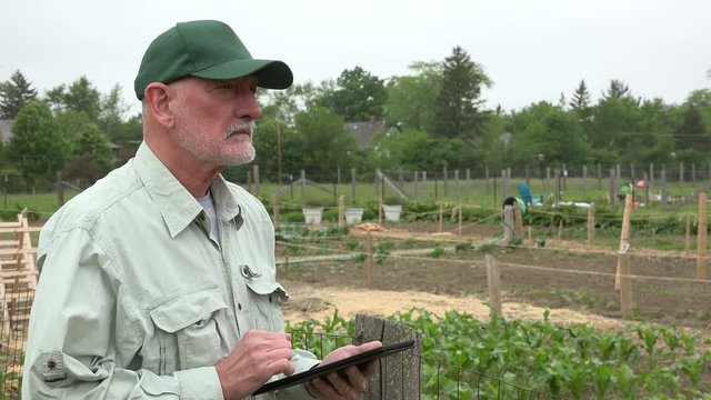 Urban Farmer Looking At Crops With Ipad