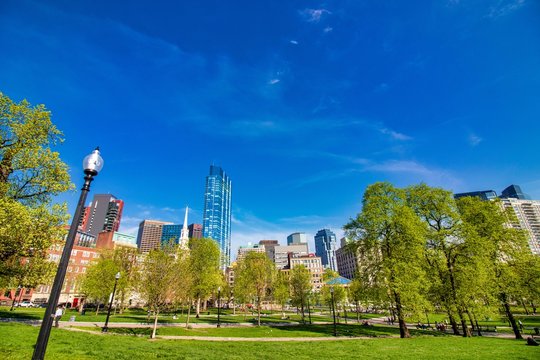 Beautiful spring day at Boston Common Park © Marvin Rodas