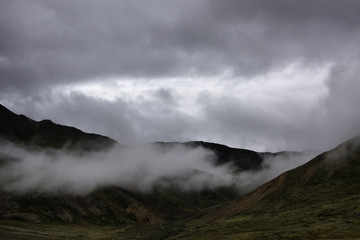 Denali National Park