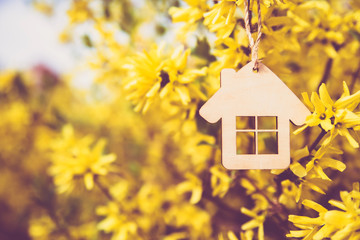 The symbol of the house among the branches of the Forsythia 