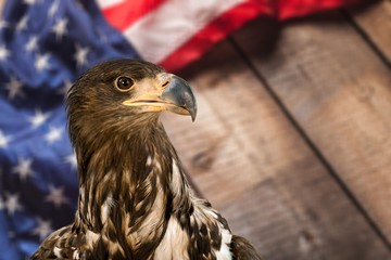 America.