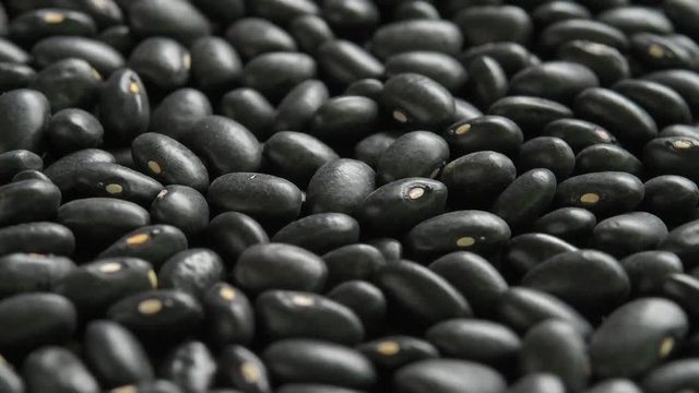 black bean ratation