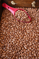 close up of pinto bean for background 