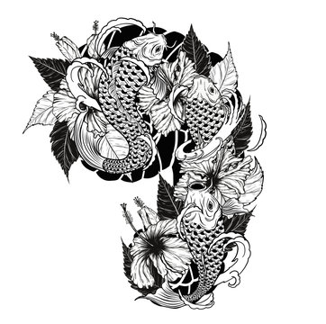 Carp fish and chrysanthemum tattoo by hand drawing.Tattoo art highly detailed in line art style.