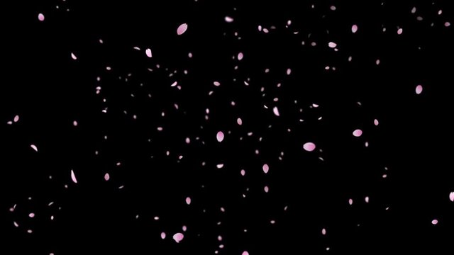 Sakura_Falling_Wind_Loop&Alpha