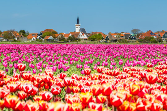 Skyline Den Hoorn Texel the Netherlands