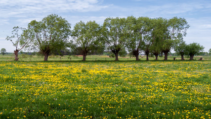Wiosna na Podlasiu © podlaski49