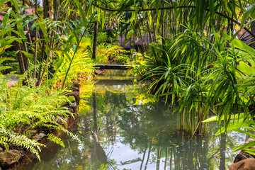 Landsaft design pond at the thailands park at koh Chang island
