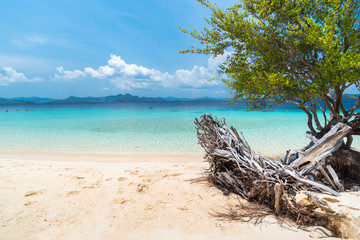 View of tropical beach on the Banana island, Busuanga, Palawan, Philippines. Beautiful tropical island with sand beach, palm trees. Travel concept