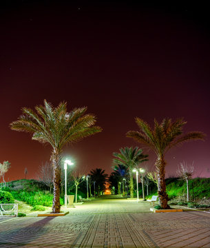 Pedestrian zone with palm trees at night in city of Nahariya, Israel.