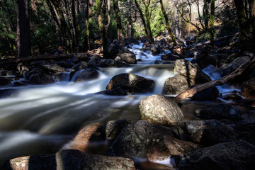 Yosemite Bach
