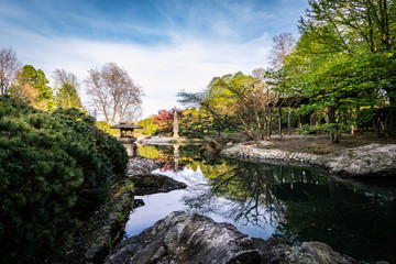 Fototapeta na wymiar Japanischer Garten