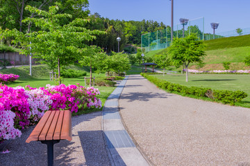 Obraz premium つつじの咲き乱れる公園