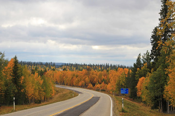 Colorful Indian Summer trees and forest in Finland, Europe