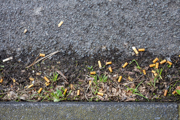 cigarette butts on the street close to the pavement © Lukassek