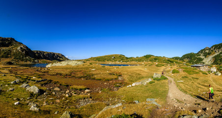 Alpine Landscape