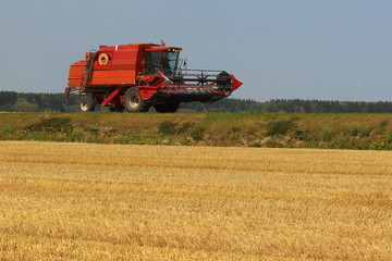 Obraz premium Harvester rides on road on wheat field in autumn against blue sky - harvesting, rural life, nature, landscape