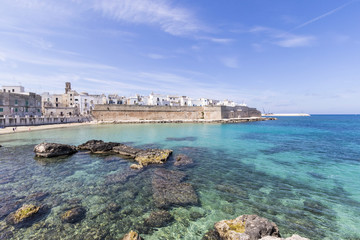 Panoramic view of Monopoli italy
