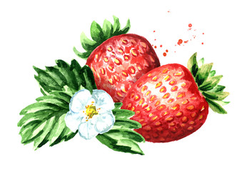Red berries strawberry with flower and green leaves. Watercolor hand drawn illustration  isolated on white background