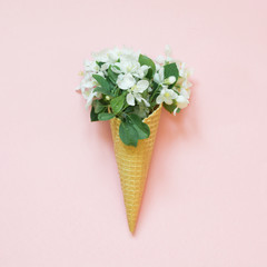 Creative still life of white spring flower in waffle cone on pink background. Spring concept. Top view.