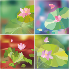 abstract lotus flower background