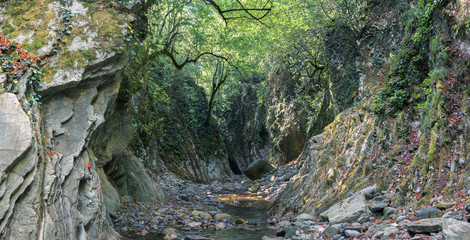 Горная река в лесу. Мамедово ущелье. Россия, Краснодарский край, поселок Лазаревское © chingis61