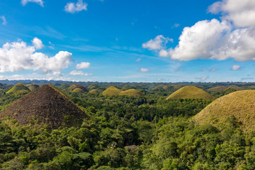 Obraz premium Bohol, Philippines