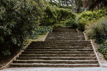 Stairway to a park