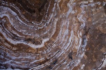 Marble material or wood texture of cut tree trunk for background, stone surface, granite, limestone Abstract texture for design and interior. Floor decorative. Close-up