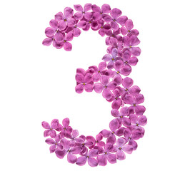 Arabic numeral 3, three, from flowers of lilac, isolated on white background