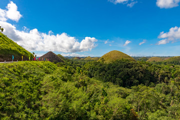 Obraz premium Bohol, Philippines