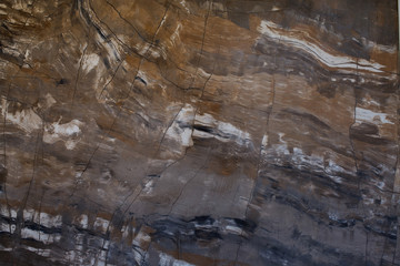 Marble material or wood texture of cut tree trunk for background, stone surface, granite, limestone Abstract texture for design and interior. Floor decorative. Close-up