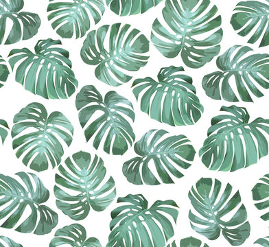 Tropical seamless pattern with green monstera leaves on white background. Tropical vector background for print or textile.