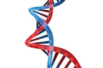 DNA structure