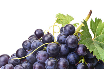 Grape fruit