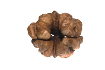 walnut isolated on white background