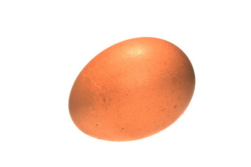 egg isolated on white background