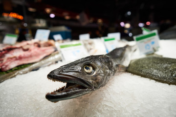 Restauracja owoce morza © piotrszczepanek
