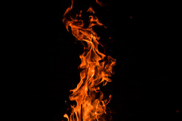 campfire flames on a black background