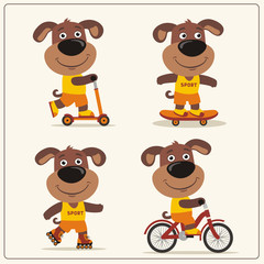 Set of isolated funny puppy dog on bike, skateboard, scooter and roller skates.