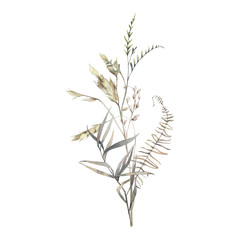 Watercolor dry herbs bouquet. Hand painted botanical composition: plants, grass, berries, fern, leaves. Natural object isolated on white background