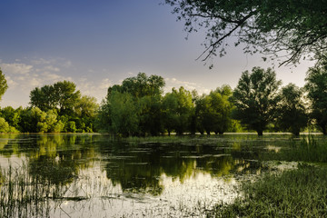 Peaceful lake landscape on the afternoon sun.