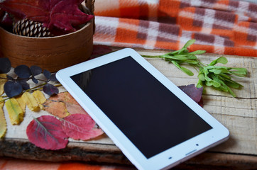 man holding a white tablet computer with a blank screen on a dark wooden table with autumn leaves, top view