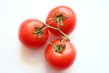 red tomatoes on a branch on a white background