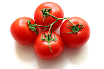 red tomatoes on a branch on a white background