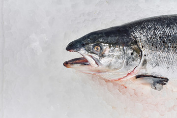 Sea food. Different types of Shrimp, snails, shellfish, fish, crabs that lie on the ice. Fresh seafood.