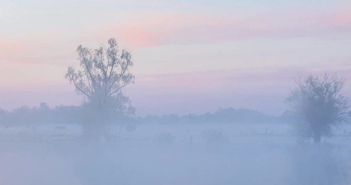Morning mist on the river, TimeLapse