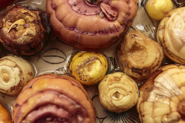 Gladiolus bulbs, prepared for planting