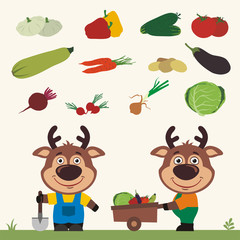 Set of isolated vegetables: squash, peppers, cucumbers, tomatoes, zucchini, carrots, potatoes, eggplant, beets, radishes, cabbage, onions. Two funny deer farmers.